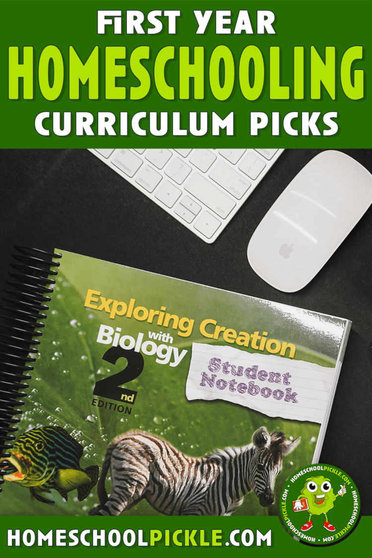 first year homeschooling curriculum picks