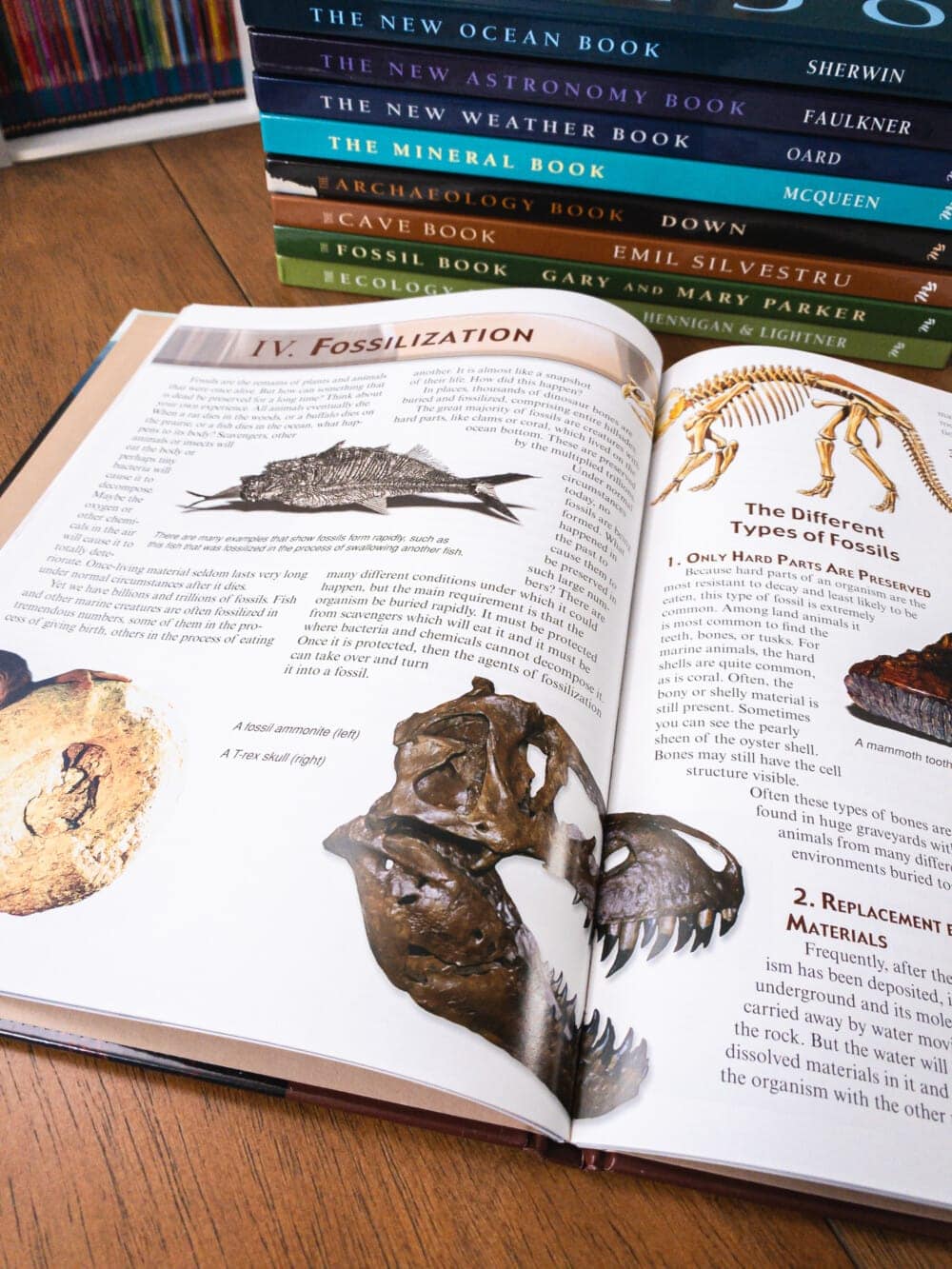 masterbooks wonders of creation 4th grade science curriculum opened to the fossilization section