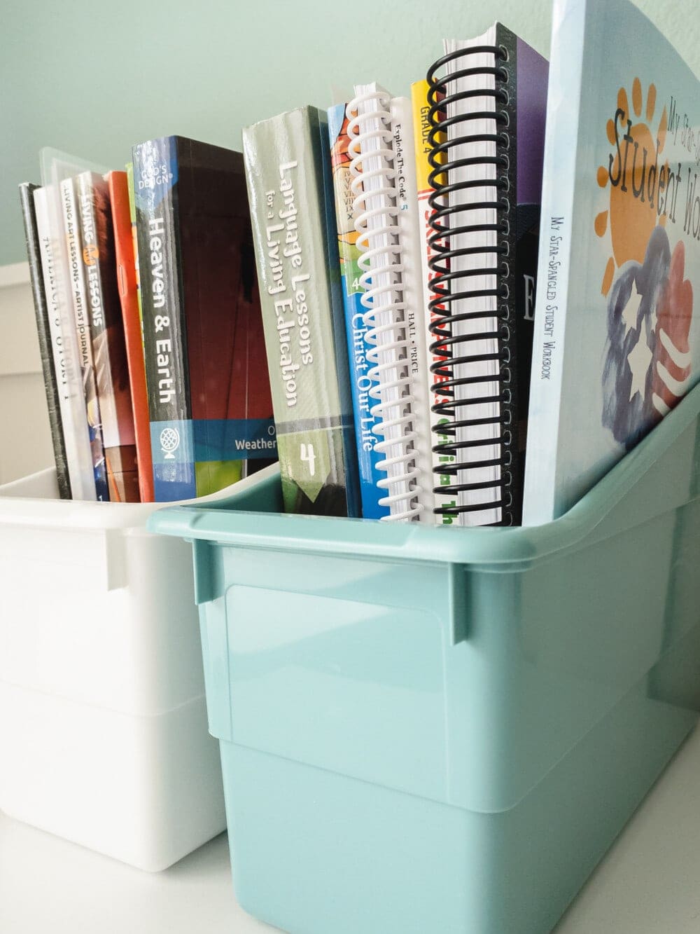 two plastic bins with books for homeschool curriculum organized in them